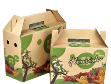 Hộp giấy đựng trái cây