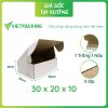 Hộp carton nắp gài 30x20x10 (Sao chép)